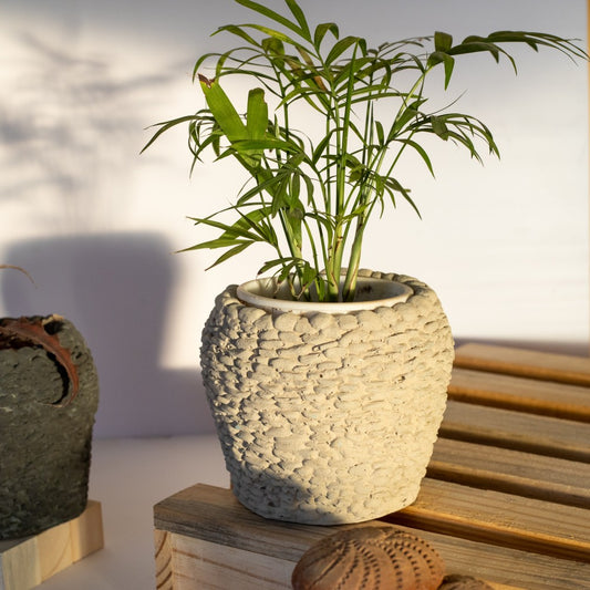 Rocky Random Rubble Cement Finish Concrete Planter