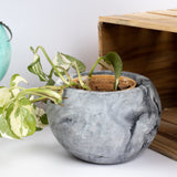 Orb Planter Dark Concrete - Classic Concrete Succulent Planter in lively earthy colours, perfect for home decor & gifting.