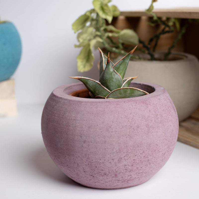 Orb Planter Nero Marble - Classic Concrete Succulent Planter in lively earthy colours, perfect for home decor & gifting.