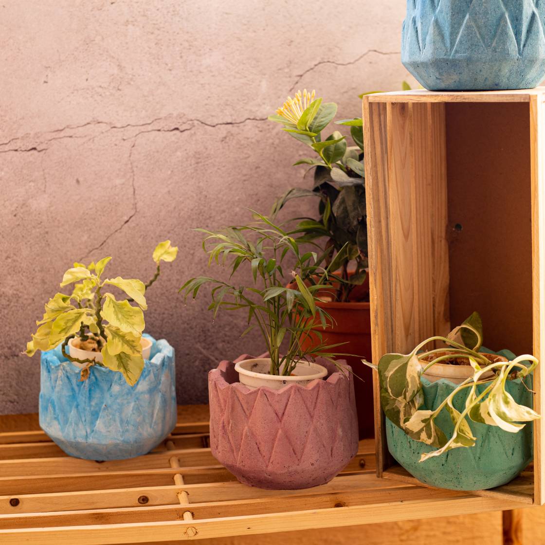 Pyne Planter Orchid Marble - Geometric Table top planter, diamond shaped surface