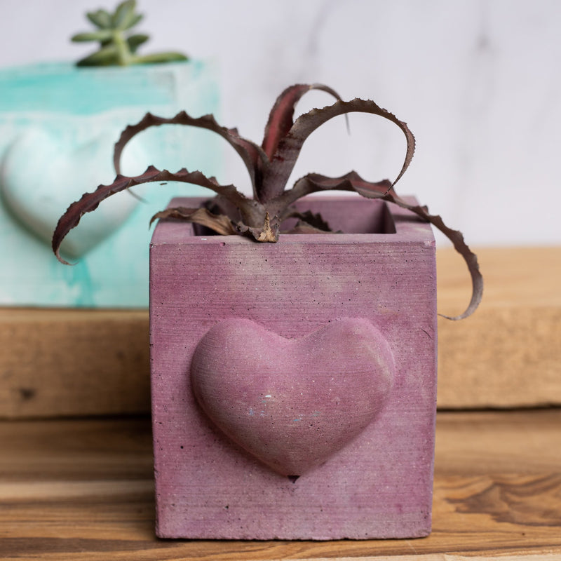 Hearty Planter Mahogany - 3D Heart shape Planter or Pen Stand for gifting to loved ones