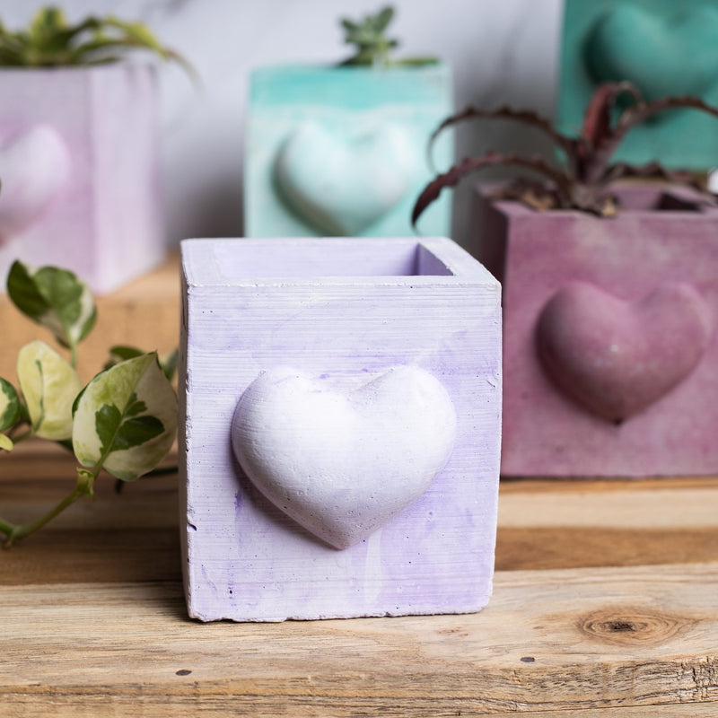 Hearty Planter Orchid Marble - 3D Heart shape Planter or Pen Stand for gifting to loved ones