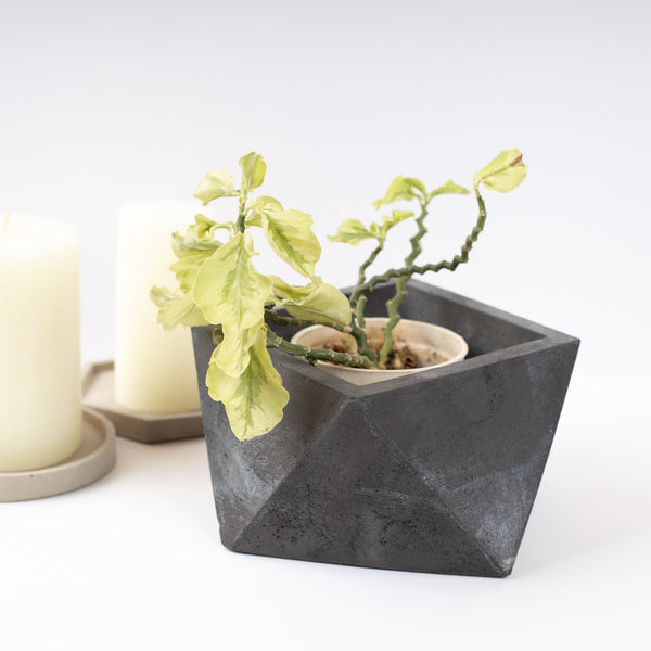 Trisq Geometric Table top Planter for Gift or Decor, Customised planter for gifting