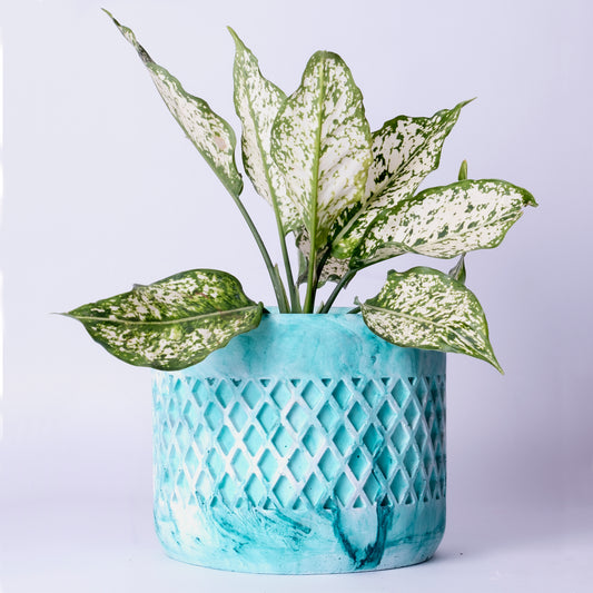 Dimen Planter Mint Marble - Best Geometric Planter for home Decor for Indoor & Outoor Gardening