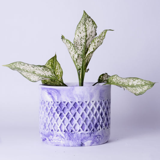 Dimen Planter Orchid Marble - Best Geometric Planter for home Decor for Indoor & Outoor Gardening