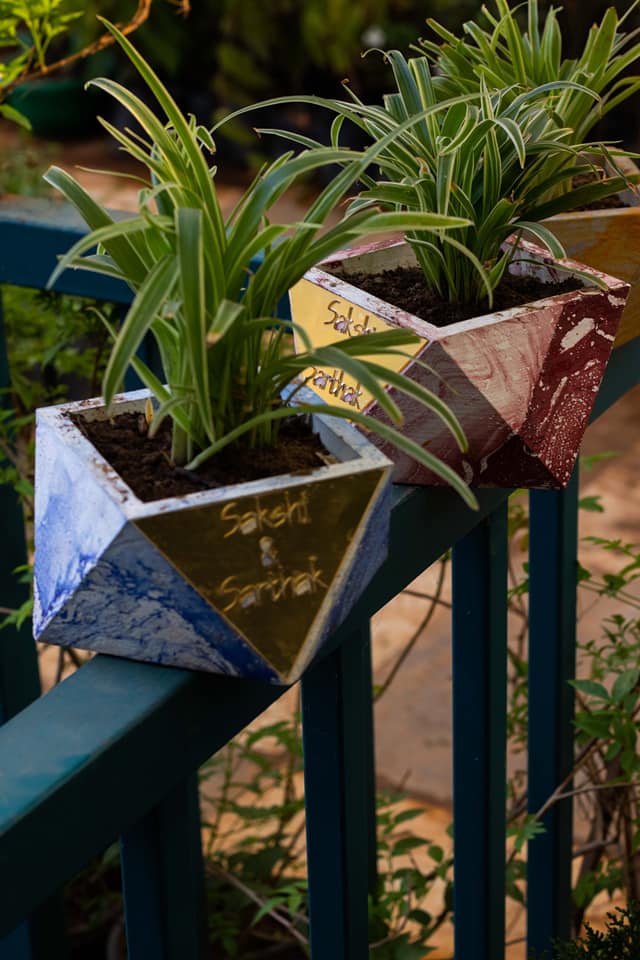 Customised Gift Trisq Planter with laser cut text on Acrylic Sheet for Birthday, Wedding, Anniversary, Retirement or Baby Naming Ceremony.
