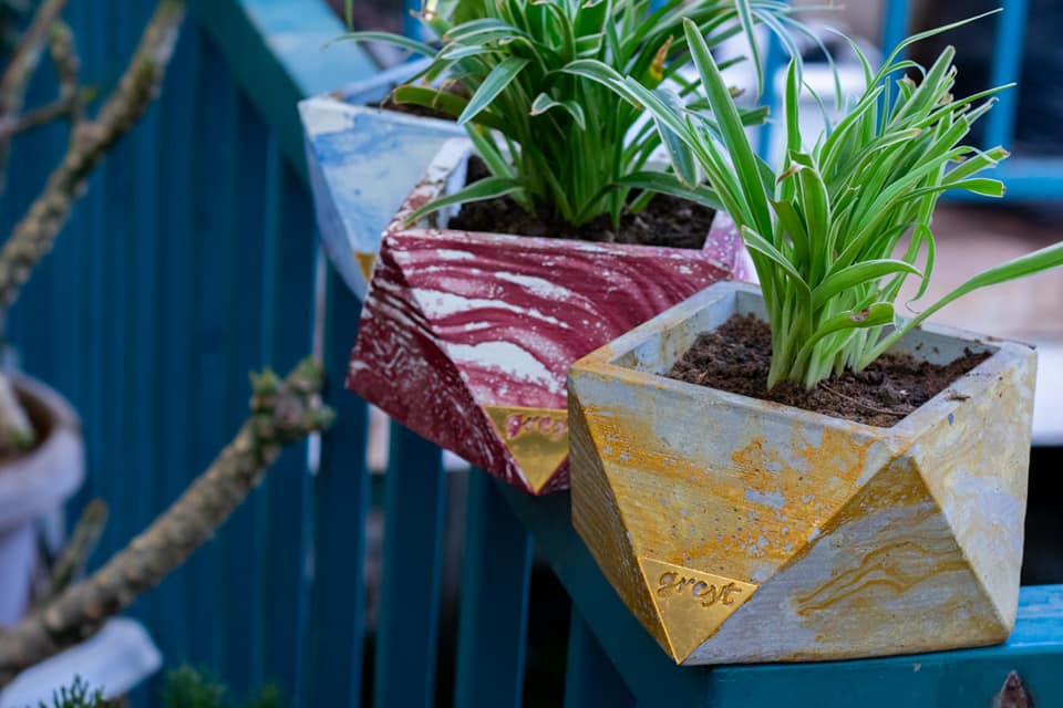 Customised Gift Trisq Planter with laser cut text on Acrylic Sheet for Birthday, Wedding, Anniversary, Retirement or Baby Naming Ceremony.