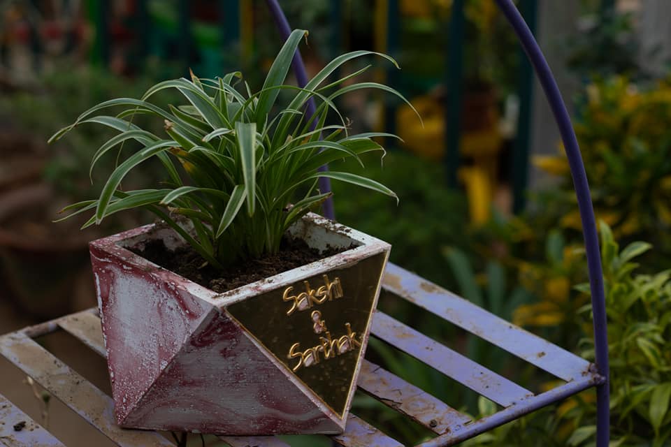 Customised Gift Trisq Planter with laser cut text on Acrylic Sheet for Birthday, Wedding, Anniversary, Retirement or Baby Naming Ceremony.