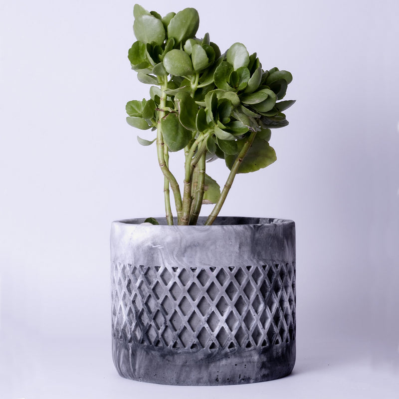 Dimen Planter Mint Marble - Best Geometric Planter for home Decor for Indoor & Outoor Gardening