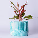 Kurl Planter Mint Marble - Best Geometric Planter for Balcony & Garden