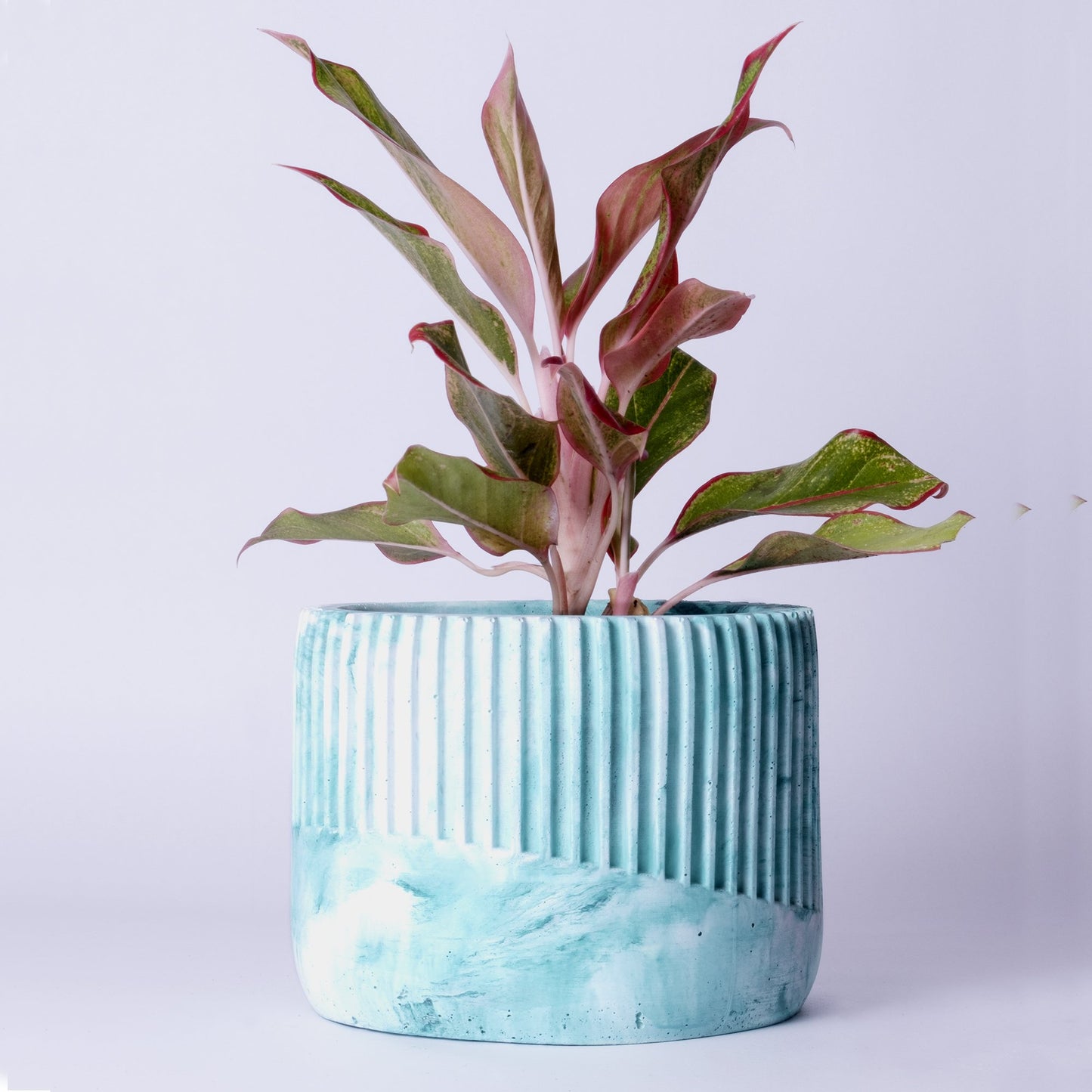 Kurl Planter Orchid Marble - Best Geometric Planter for Balcony & Garden