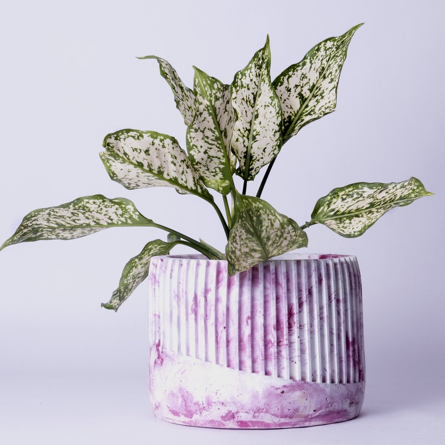 Kurl Planter Orchid Marble - Best Geometric Planter for Balcony & Garden