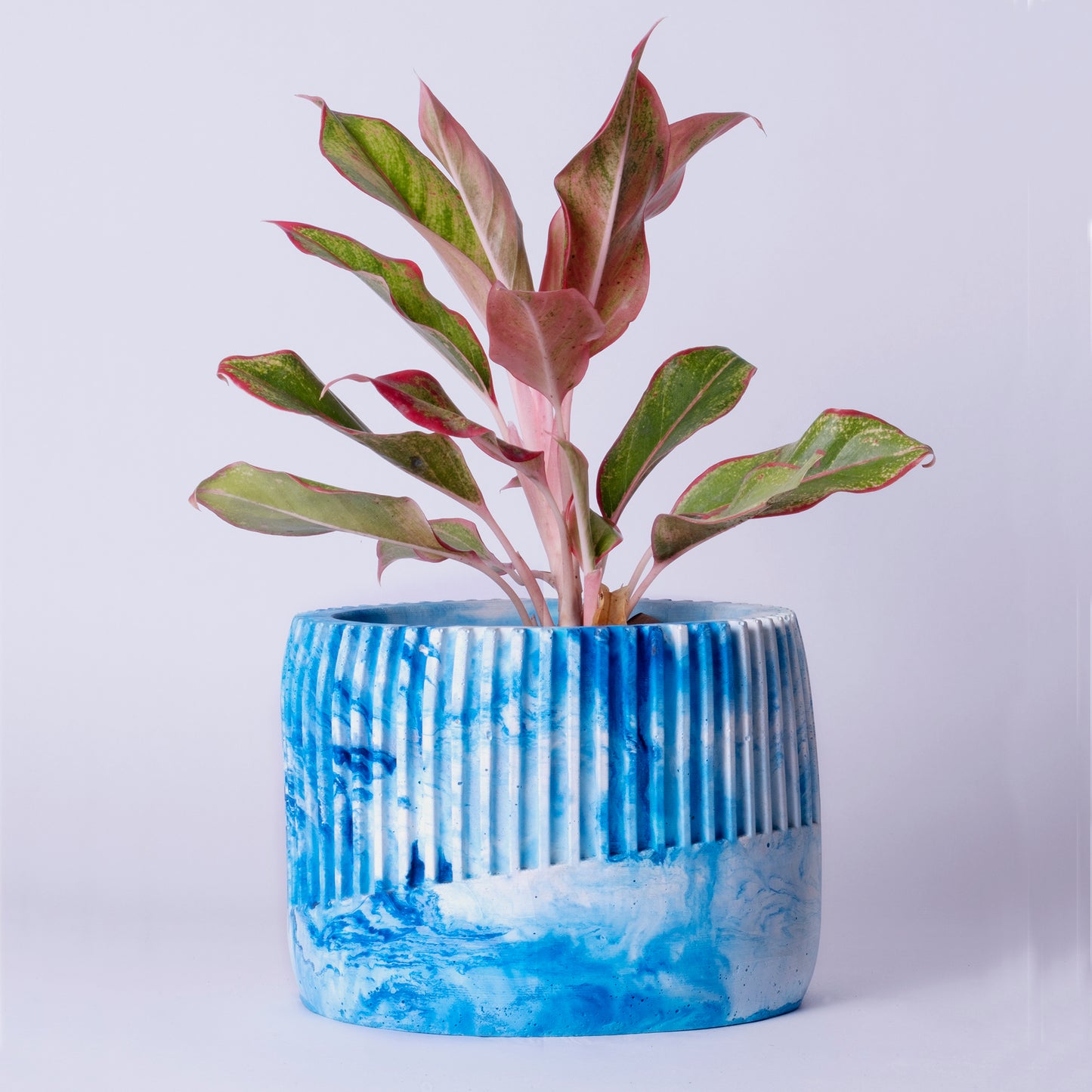 Kurl Planter Mint Marble - Best Geometric Planter for Balcony & Garden