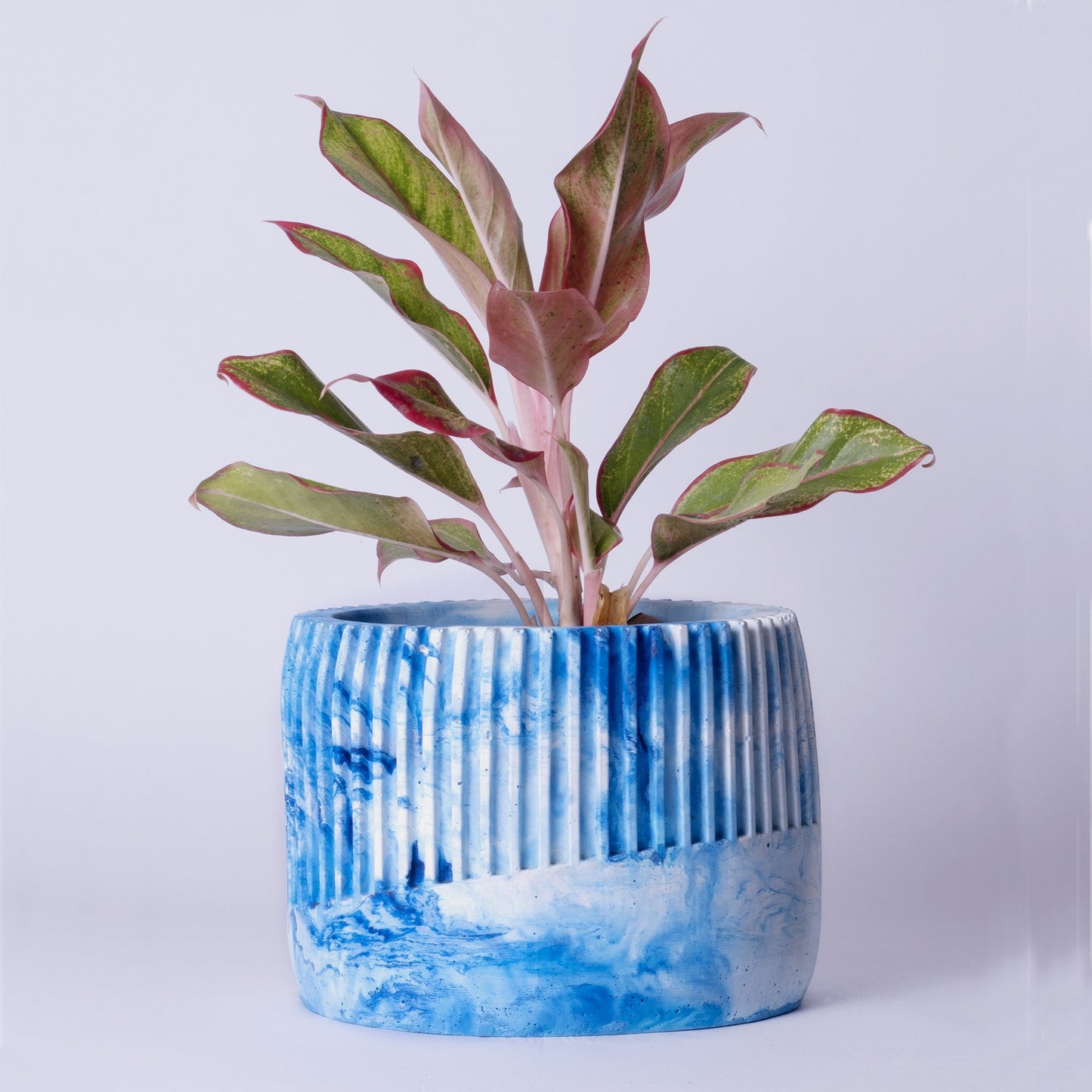 Kurl Planter Orchid Marble - Best Geometric Planter for Balcony & Garden