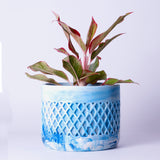 Dimen Planter Candy Marble - Best Geometric Planter for home Decor for Indoor & Outoor Gardening