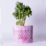 Dimen Planter Candy Marble - Best Geometric Planter for home Decor for Indoor & Outoor Gardening