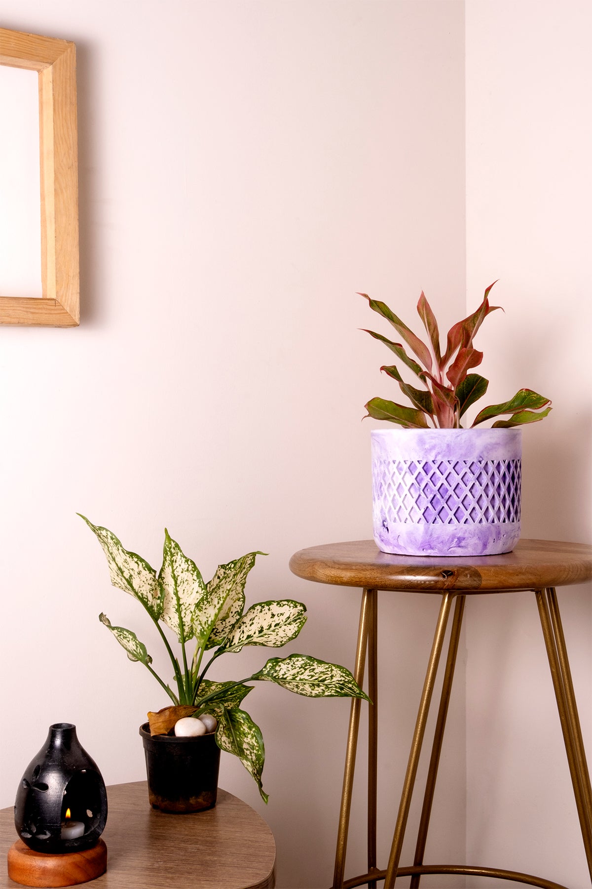 Dimen Planter Orchid Marble - Best Geometric Planter for home Decor for Indoor & Outoor Gardening
