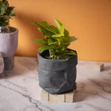 Burlap- Dark Concrete Burlap Sack-inspired planter for both indoor and outdoor plants.