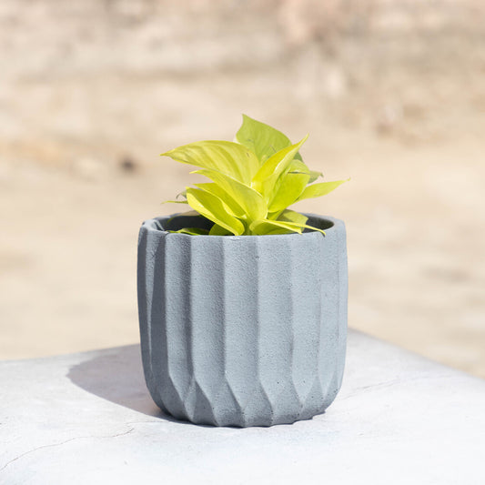 Twain Ribbed-Dark Concrete-Circular Planter with a ribbed design- for artificial and real plants