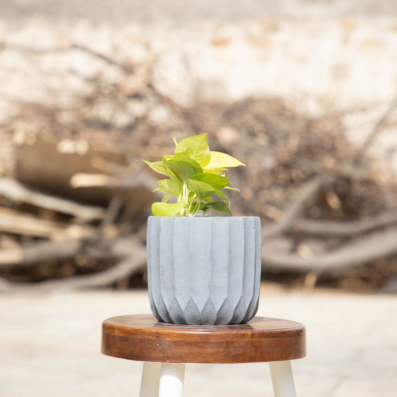Twain Ribbed-Dark Concrete-Circular Planter with a ribbed design- for artificial and real plants