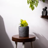 Frond-Candy Marble-Leaf Imprint Planter, features an Embossed Leaves texture