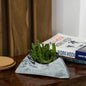 Tricle-Candy Marble-Circular Triangle Shaped Planter