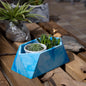 Trapez-Orchid Marble-Irregular hexagon-shaped Faceted planter