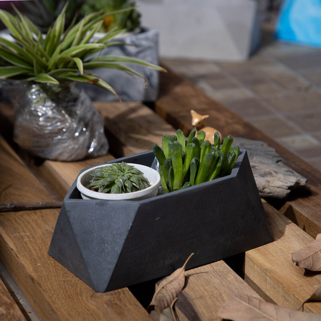Trapez-Black-Irregular hexagon-shaped Faceted planter