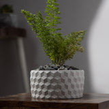 Cubetopia-Dark Concrete-Patterned plant bowl