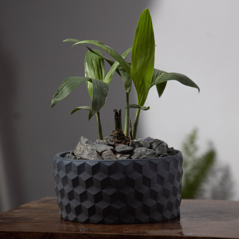 Cubetopia-Cement Finish-Patterned plant bowl
