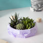 Nonagon Bowl-Mint Marble-All-purpose Homeware- Fruit bowl and Plant bowl