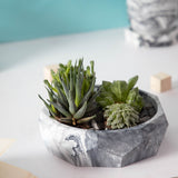 Nonagon Bowl-Mint Marble-All-purpose Homeware- Fruit bowl and Plant bowl