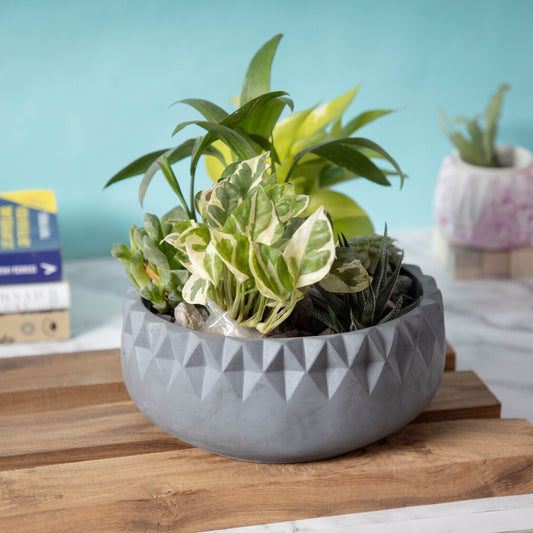 Bort-Dark Concrete-Decorative Planter with Diamond Cuts with Drainage Hole