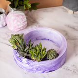 Halo-Candy Marble-Circular, Moon Shaped Succulent Planter for beautifying your garden spaces