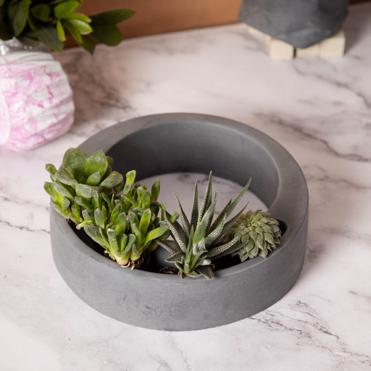 Halo-Dark Concrete-Circular, Moon Shaped Succulent Planter for beautifying your garden spaces