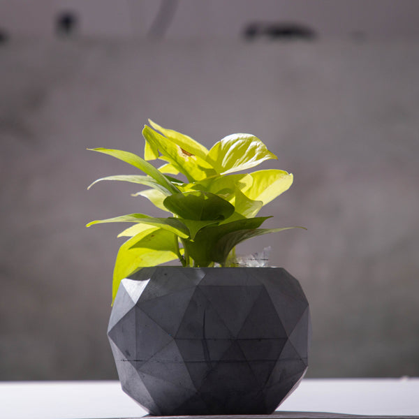 Fascinating Facet - Faceted Modern Planter for indoors and outdoors