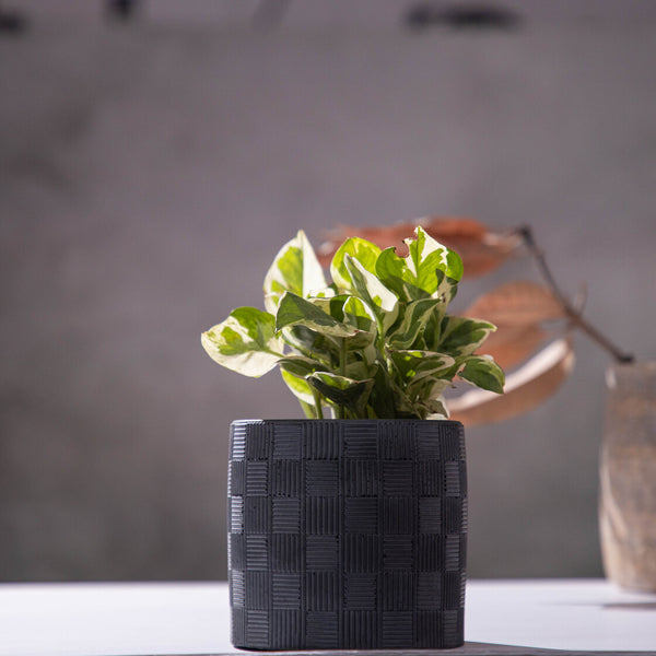 Basketweave-Black-Cylindrical planter with a pattern suitable for indoors and outdoors