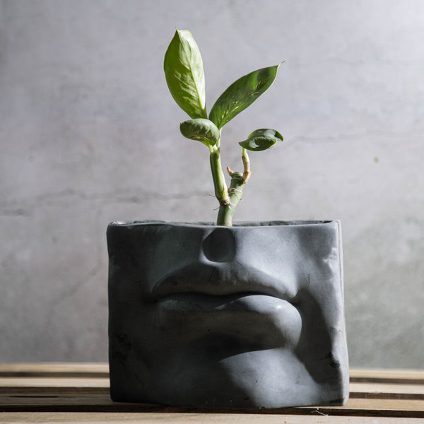 Bazoo Lip-Shaped Vase and Planter, suitable for both indoors and outdoors