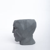 Skull-n-vogue- Dark Concrete Head shaped pot, ideal for both indoor and outdoor plants, contemporary faceted design