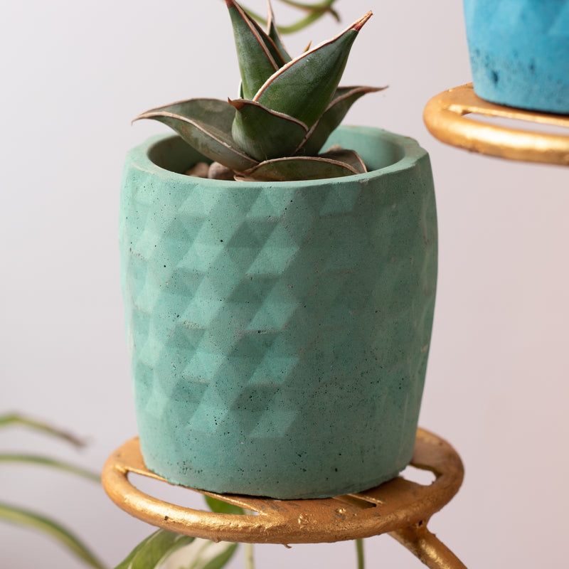 Xude Geometric Planter Cement Finish - Succulent Planter Or Pen Stand