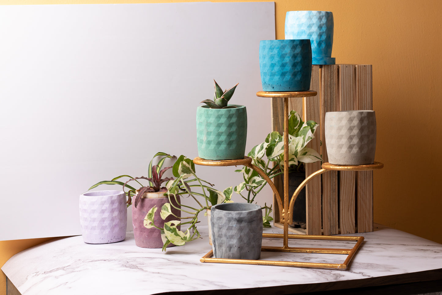 Xude Geometric Planter Cement Finish - Succulent Planter Or Pen Stand