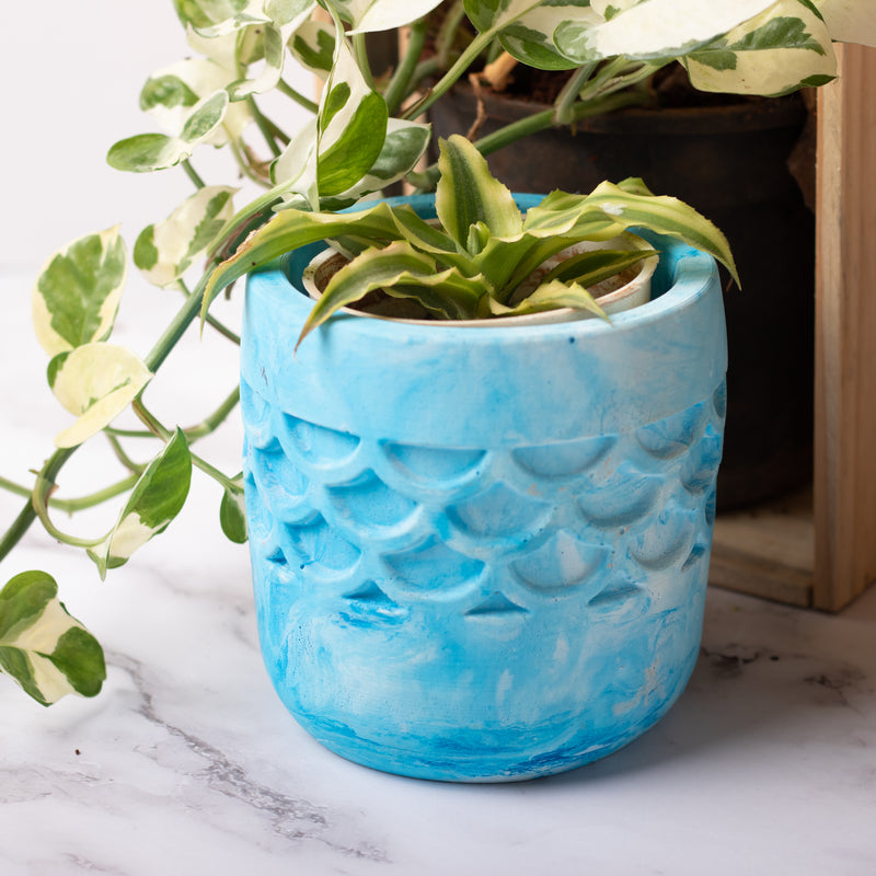 Camber Planter Cement Finish - Designer Planter for Succulents or Small Size plants