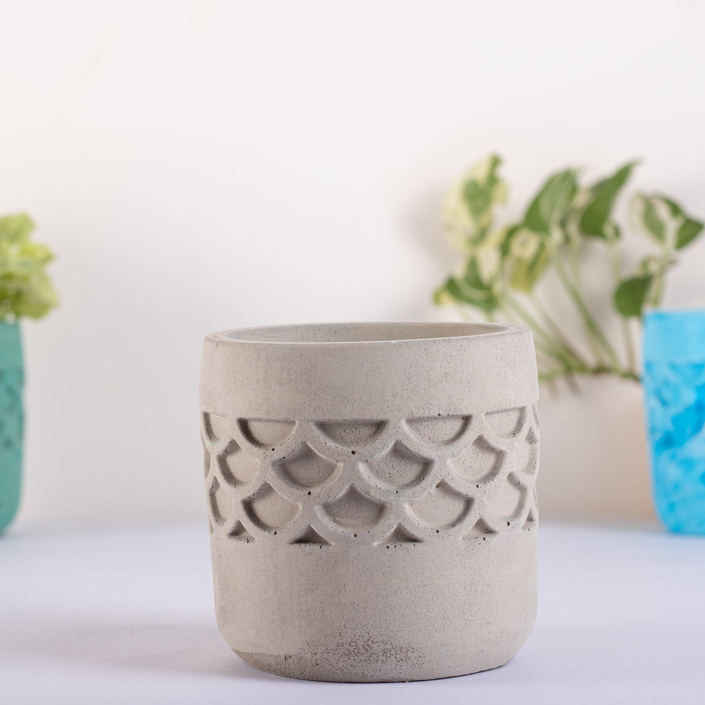 Camber Planter Cloud - Designer Planter for Succulents or Small Size plants