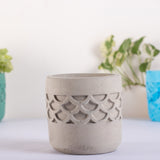 Camber Planter Cloud - Designer Planter for Succulents or Small Size plants