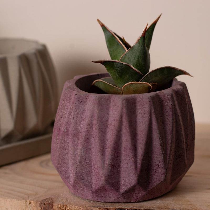 Onca Mahogany - Geometric Succulent Planter for Table top Decor, Window sill or Ledge for Home & Office
