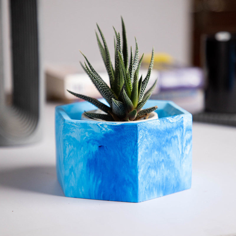 Hexo- Cloud - Hexagonal concrete pot for succulents & small plants perfect for office and study table