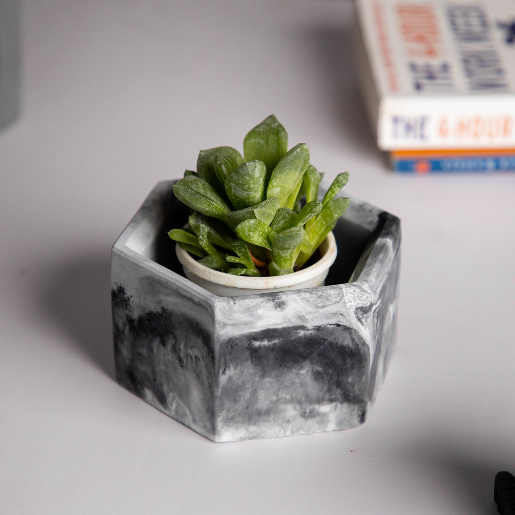 Hexo- Cloud - Hexagonal concrete pot for succulents & small plants perfect for office and study table